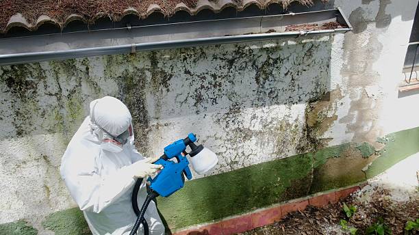 Trusted Bathroom Mold Removal service in Hudson, MI - Cheap Mold Removal